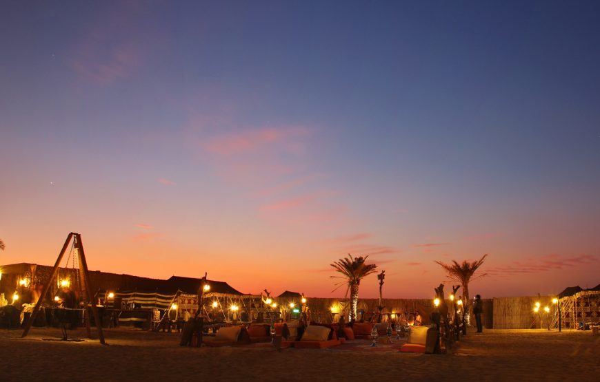 Desert Safari and Overnight in the Camp