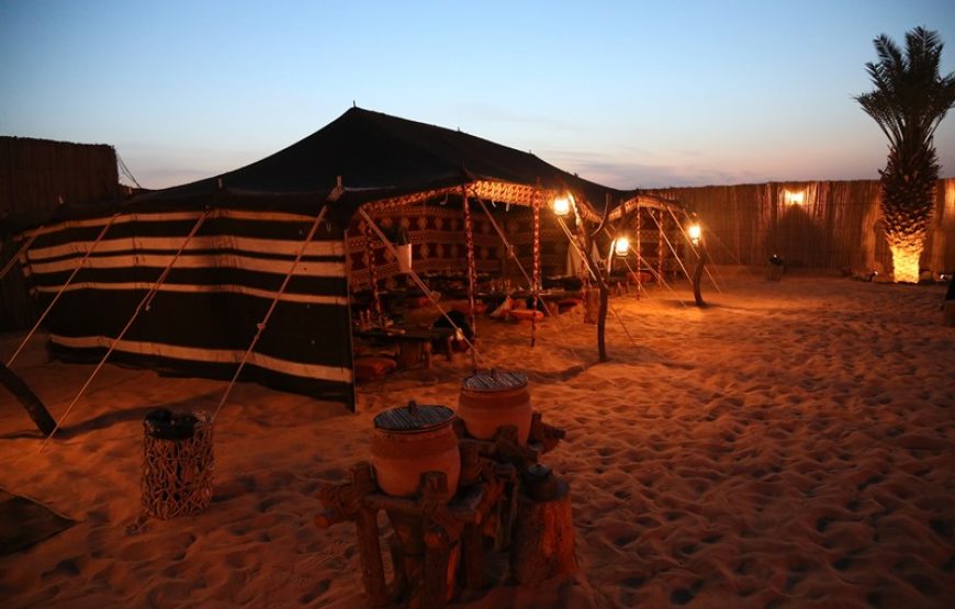 Desert Safari and Overnight in the Camp